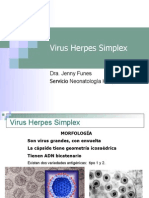 Virus Herpes Simple