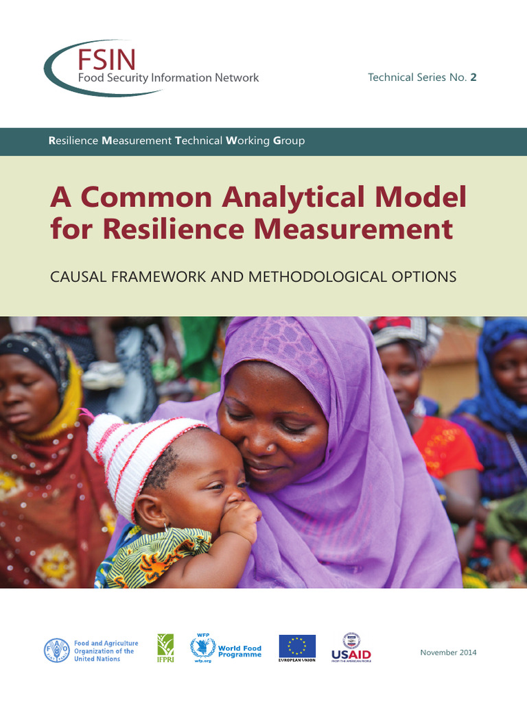 FSIN TechnicalSeries 2 | PDF | Conceptual Model | Psychological Resilience