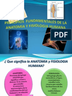 Principios Fundamentales de La Anatomia y Fisiologia Humana