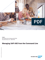 Managing_SAP_ASE_from_the_Command_Line