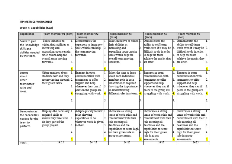 ITP Metrics Team Capabilities Assessment | PDF | Cognition | Behavior ...