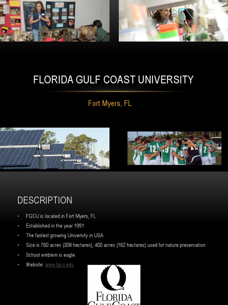 FGCU Engineering: Innovate & Lead | PDF | Art | Science & Mathematics