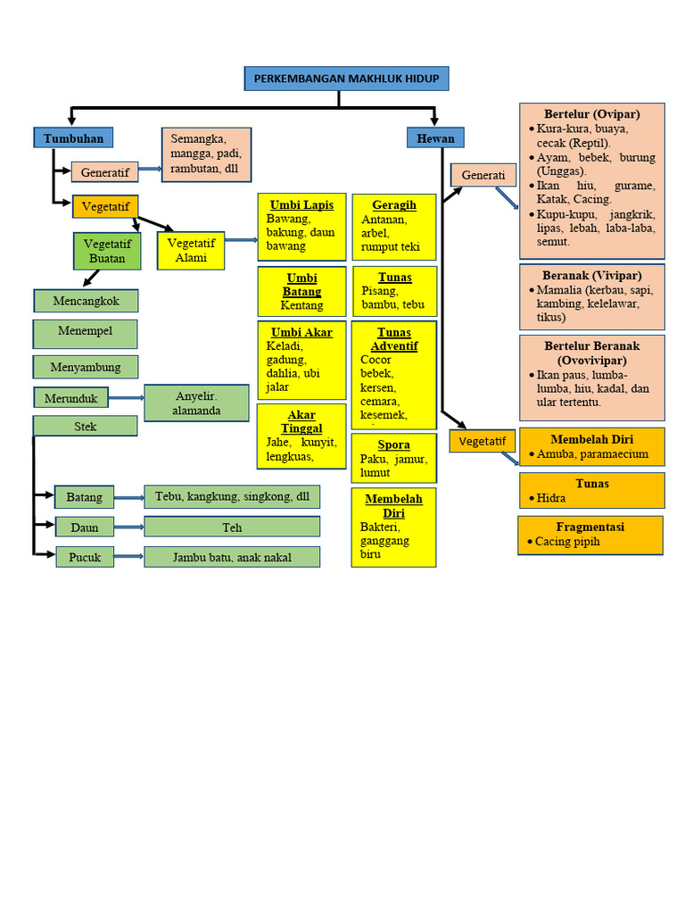 Peta Konsep Makhluk Hidup | PDF