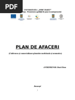 Plan De Afaceri Cultivare Plante Medic In Ale Si Aromatice