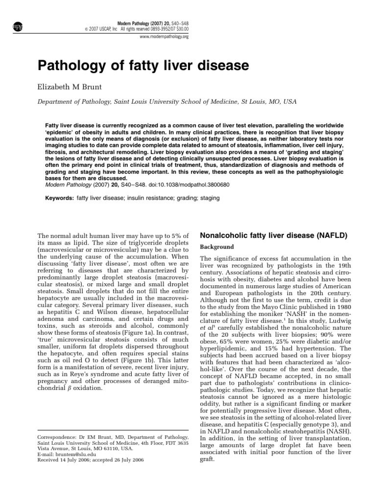 METABOLIC ASSOCIATED FATTY LIVER DISEASE PATHOLOGY OUTLINES intelligence overview