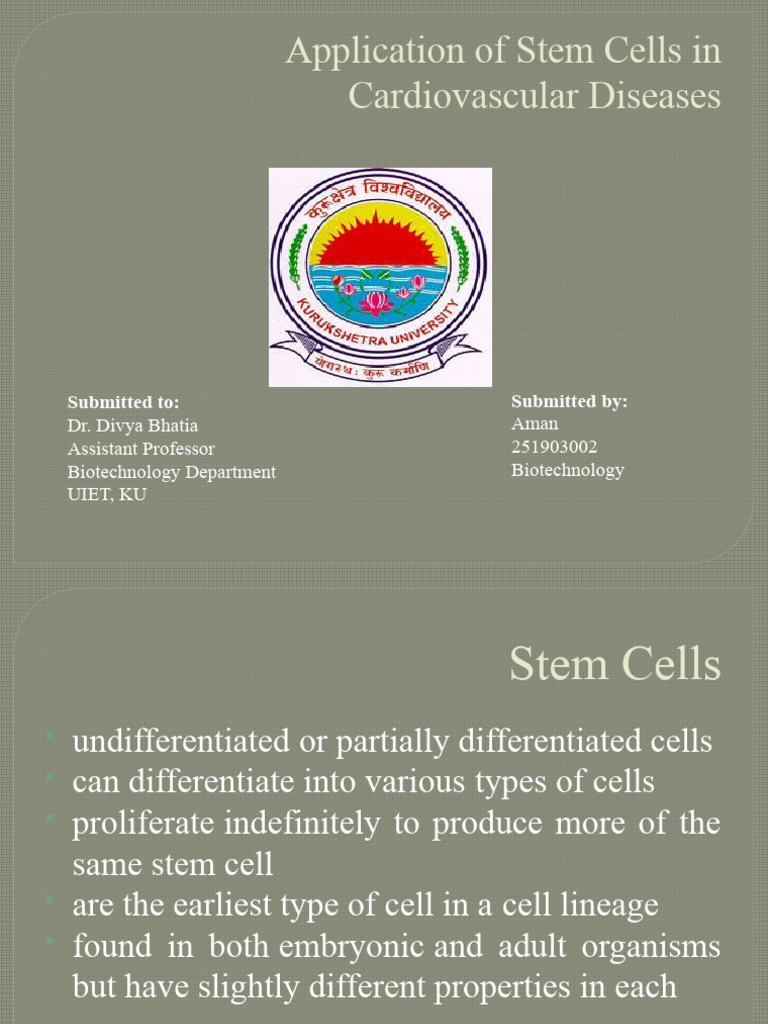 Stem Cells in Cardiovascular Disease Treatment | PDF | Stem Cell ...