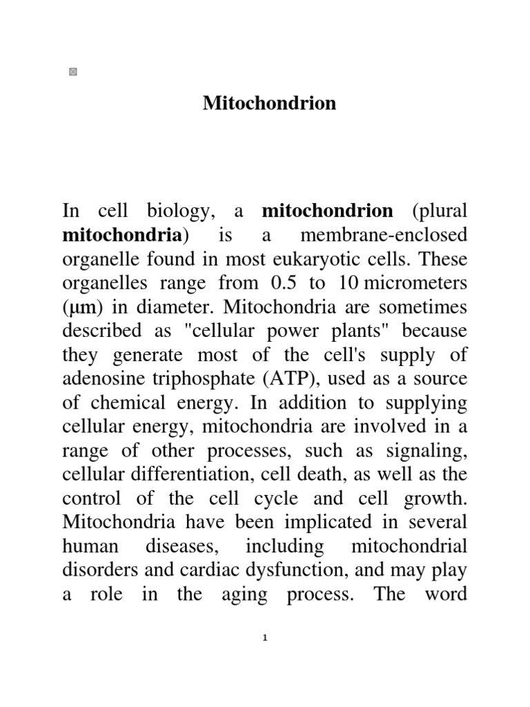 mitochondria assignment pdf bsc 1st year