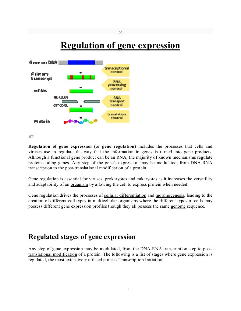 Gene Expression Regulation Overview | PDF | Regulation Of Gene ...