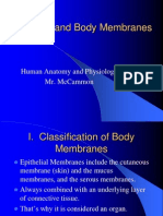 Skin and Body Membranes: Human Anatomy and Physiology Mr. Mccammon