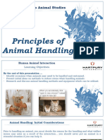 The Principal of Handling-Animals