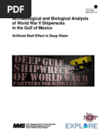 Gulf of Mexico Shipwrecks