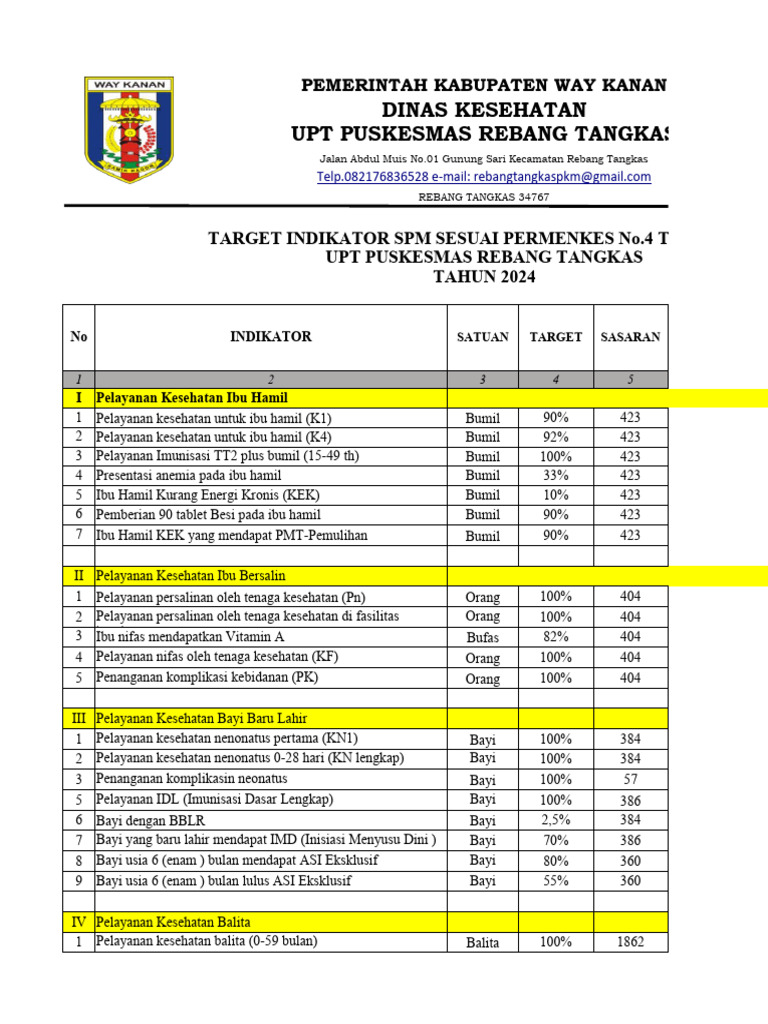 Target Laporan SPM 2024 Puskesmas | PDF | Pengembangan Diri | Kesehatan ...