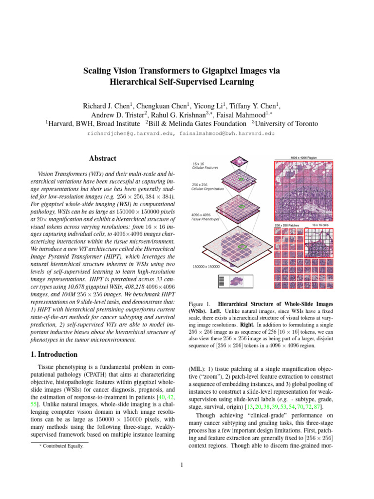 Scaling Vision Transformers To Gigapixel Images Via Hierarchical Self ...
