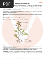 Morphology of Flowering Plants Specially Handwritten | PDF