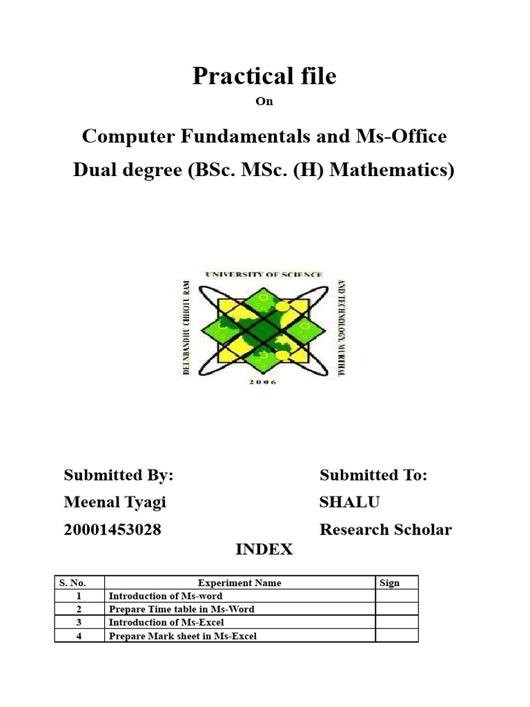 Fundamental Practical File | Download Free PDF | Microsoft Excel ...