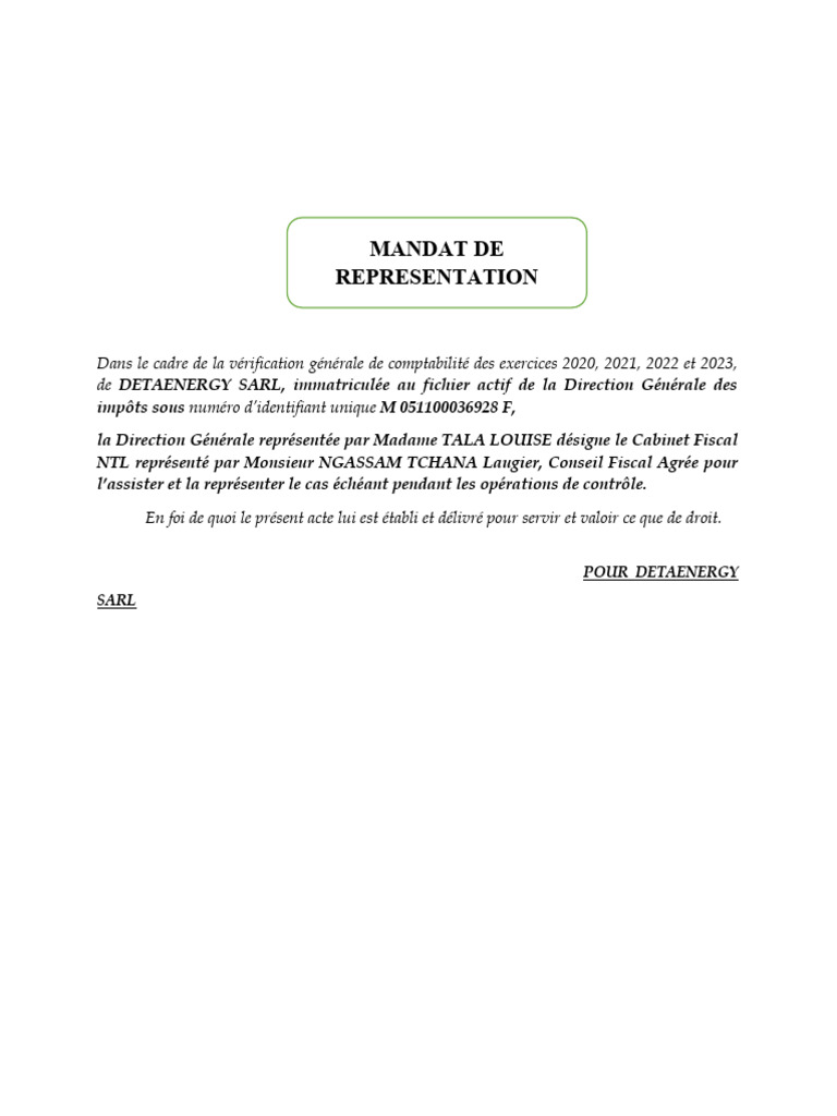 mandat-de-repr-sentation-fiscale-detaenergy-pdf-banques-business