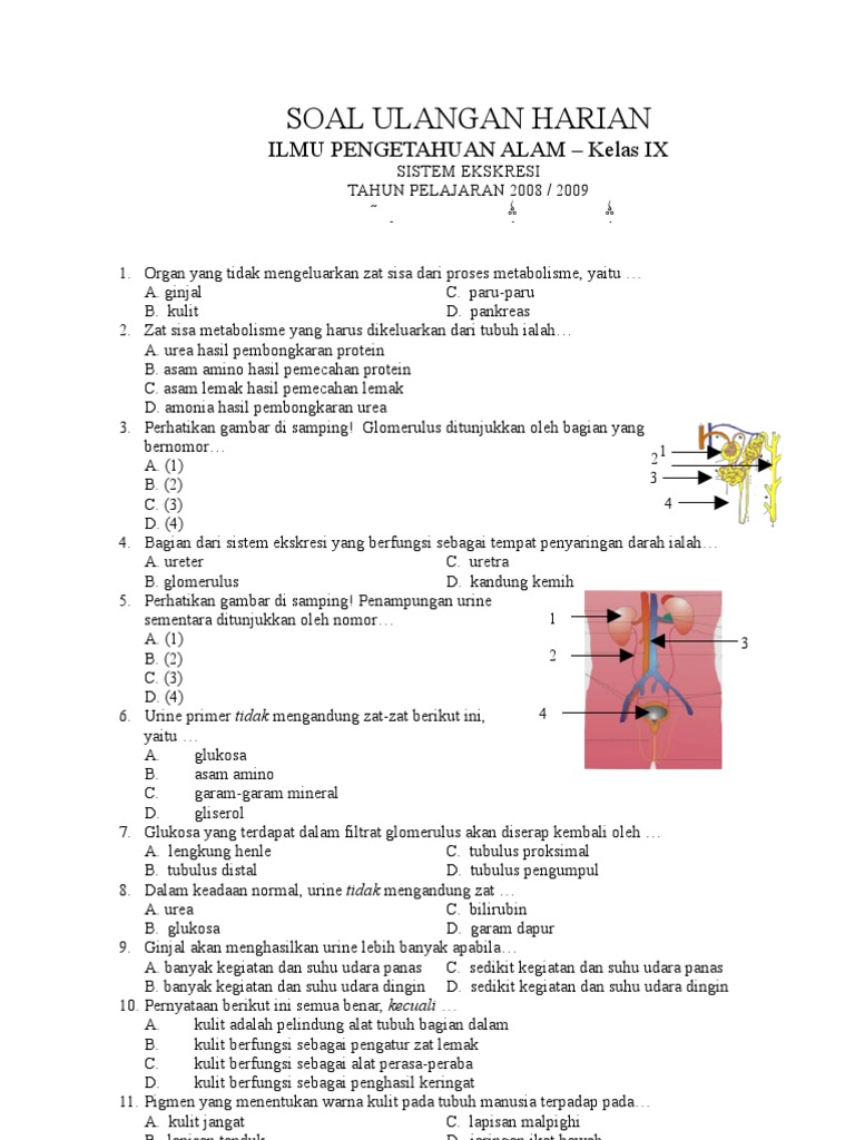 Soal Ekskresi Kelas 9 Smp