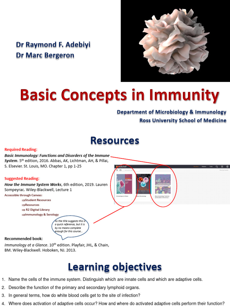 Immunity Basics: Key Concepts Explained | PDF | Immune System ...
