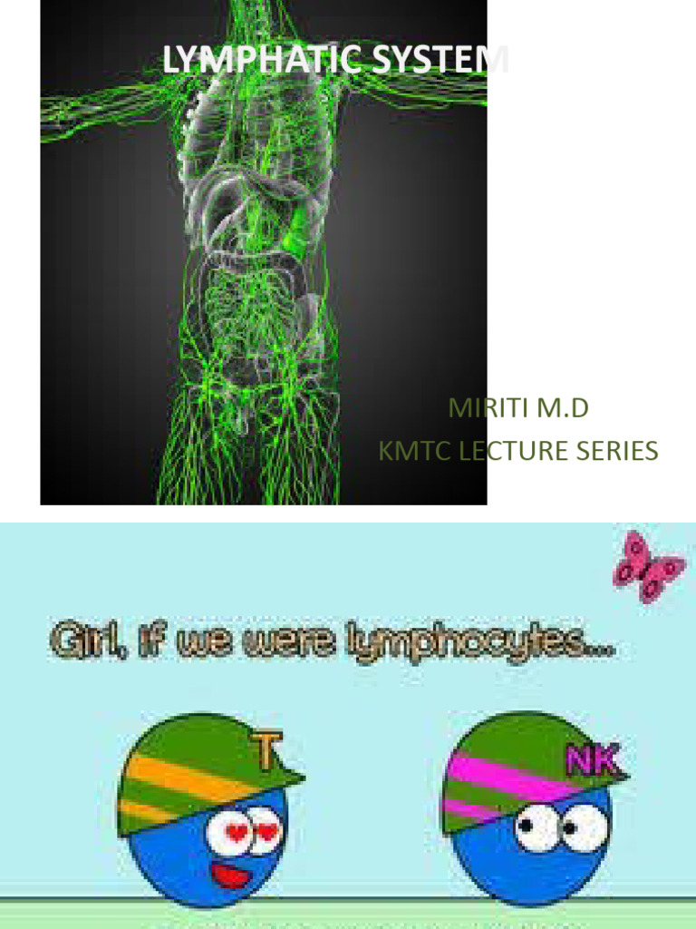 Lymphatic System Pdf Lymphatic System Lymph