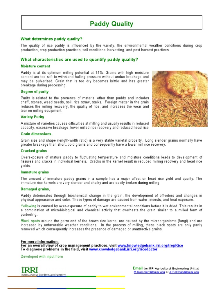 Factors Affecting Head Rice Recovery | PDF | Home & Garden | Technology ...