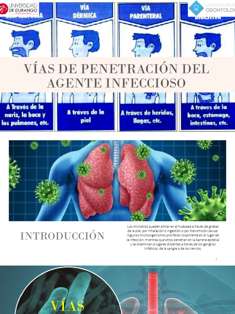 Vías de Penetración de Agentes Infecciosos | PDF | Infección | Causas ...