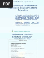 Ensino Profissional – Que Futuro ?