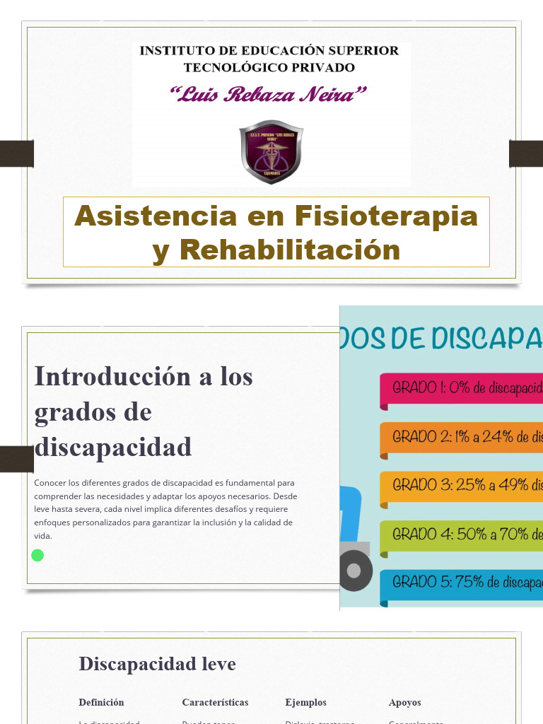 Grados de Discapacidad y Apoyos Necesarios | PDF | Invalidez | Terapia ...