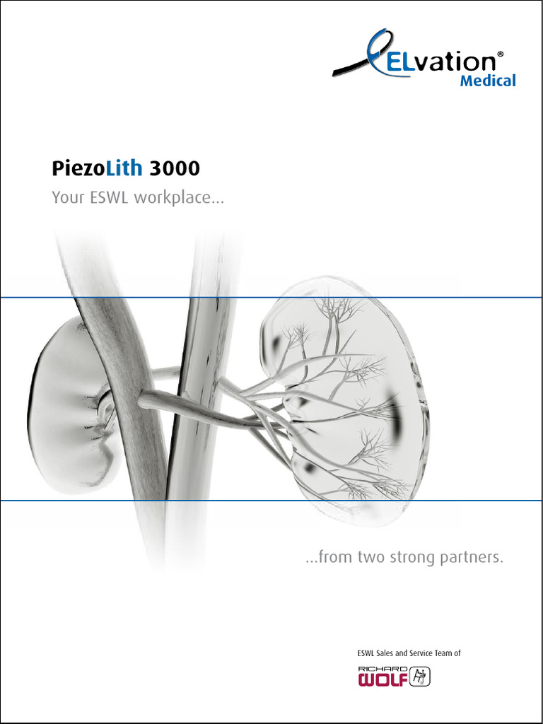 PiezoLith 3000 PDF Piezoelectricity Ultrasound