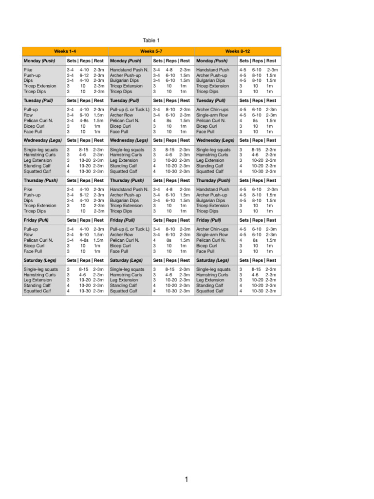 Gym Rings PDF | PDF | Strength Training