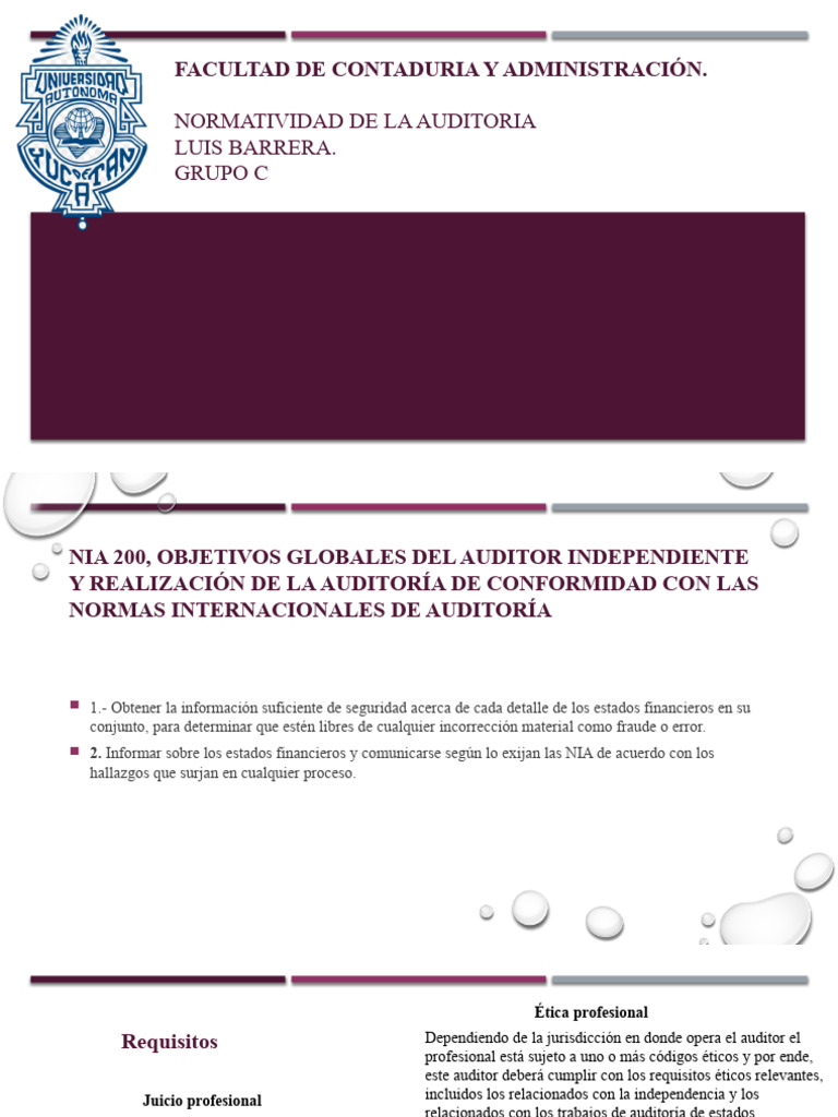 Normas y Principios de Auditoría | PDF | Auditoría | Contralor