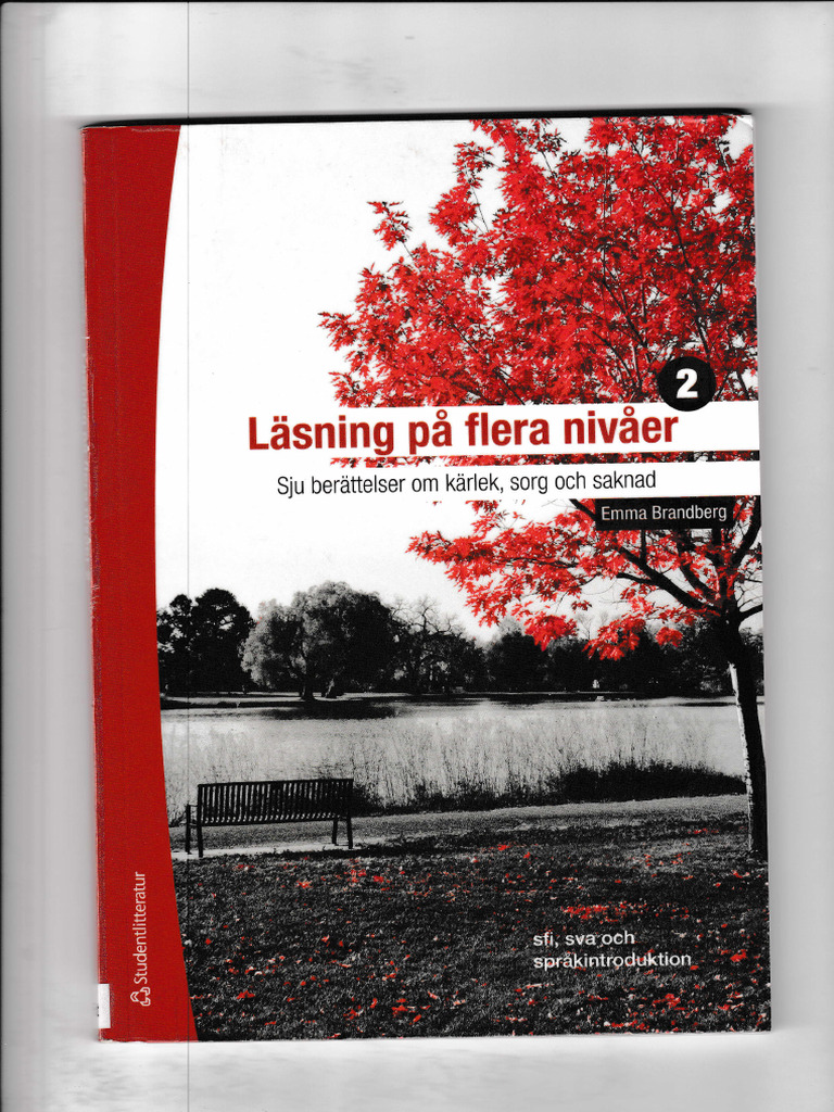 Läsning På Flera Nivåer | PDF