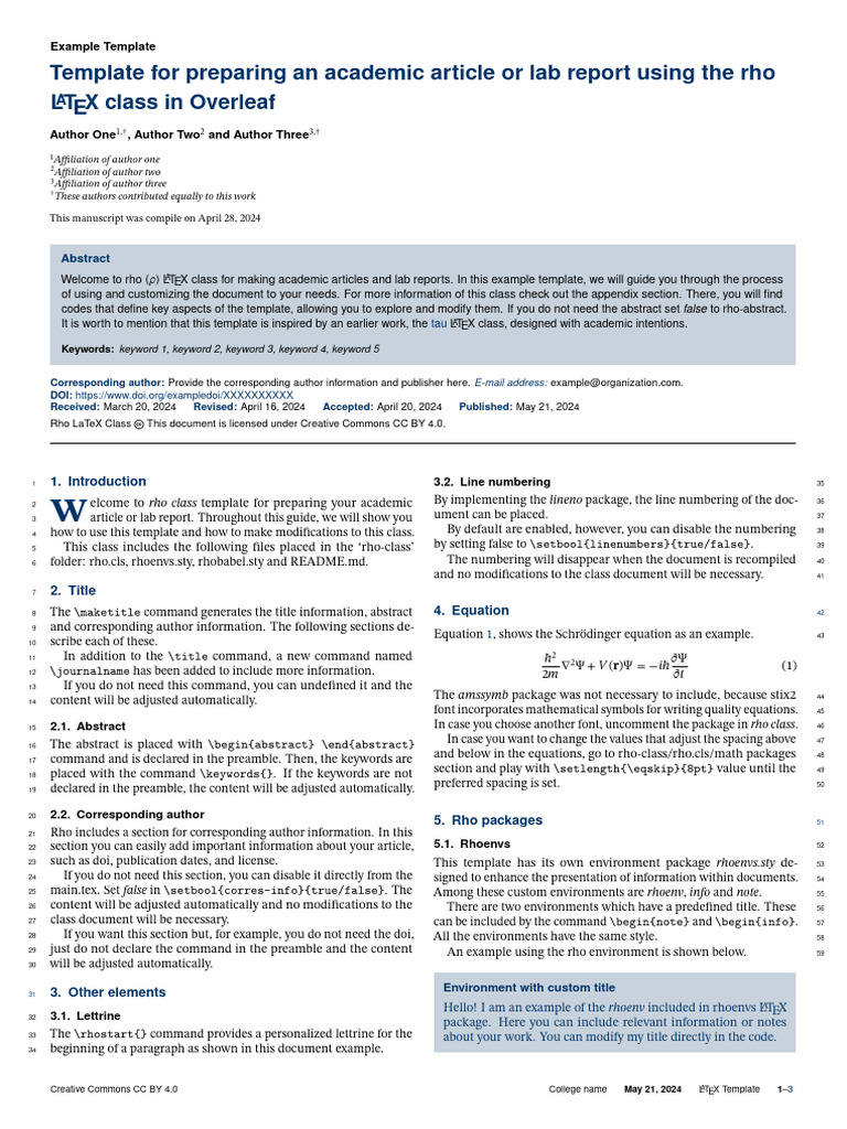 Rho LaTeX Article Template Guide | PDF | Computer Programming ...