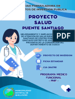 Programa medico funcional - Puente Santiago