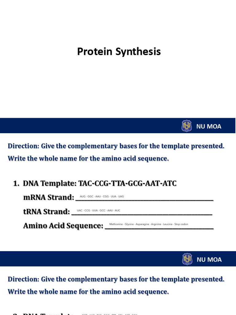 Protein Synthesis | PDF | Genetic Code | Amino Acid