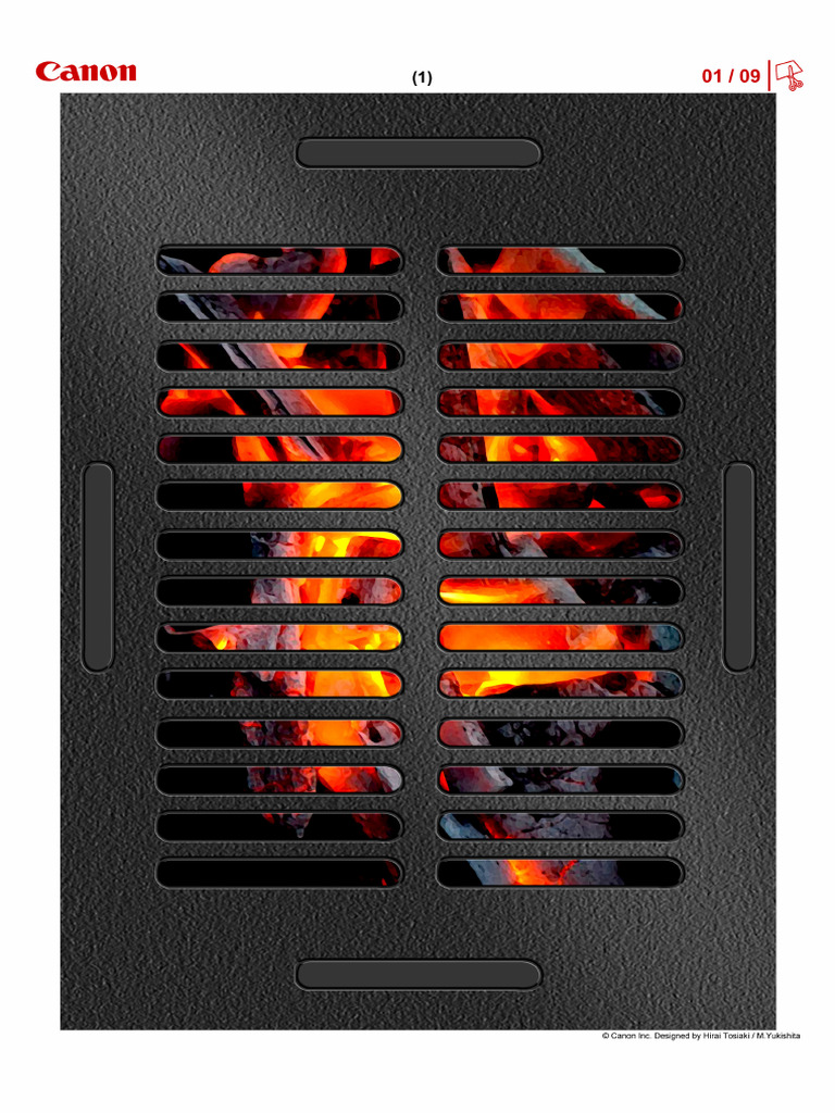 CNT 0031517 01 | PDF