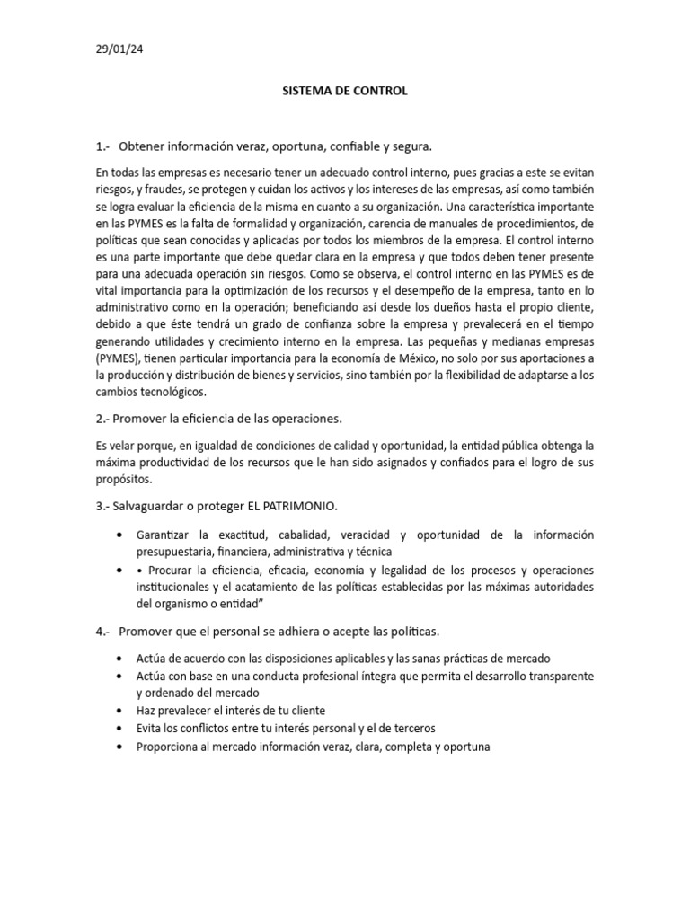 Sistema de Control | PDF | Business | Pequeñas y medianas empresas