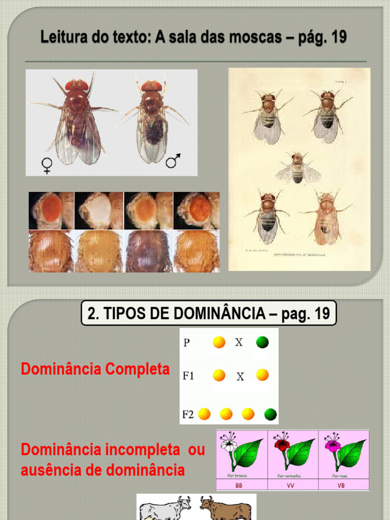 Tipos de Dominância Genética | PDF | Alelo | Dominância (genética)