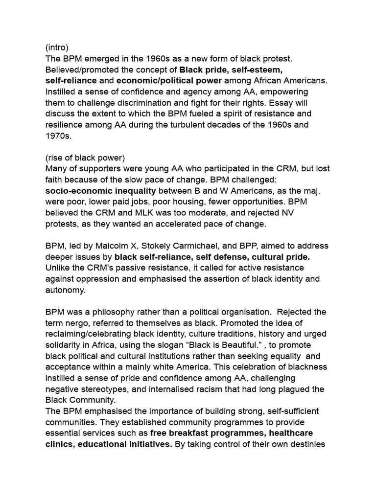 History Essay | PDF | Black Panther Party | Black Power