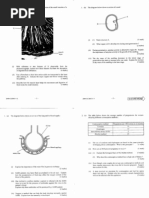 Download Biology 2004 Paper I  II by Cyril Leung SN73837931 doc pdf