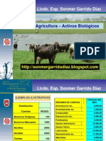Nic 41 - Agricultura - Activos Biologicos