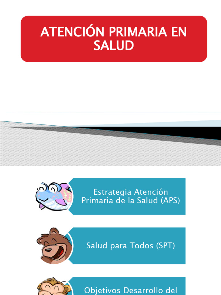Atención Primaria de Salud | PDF | Hospital | Cuidado de la salud