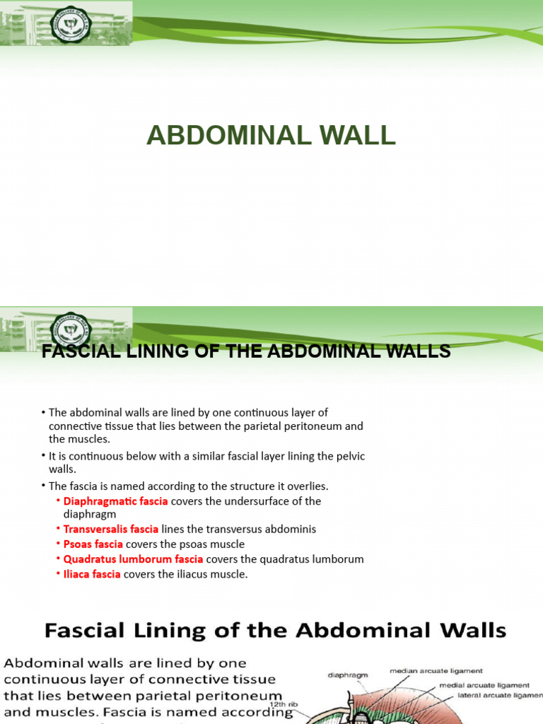ABDOMINAL WALL ORGANS AND PERITONEUM visual data 3