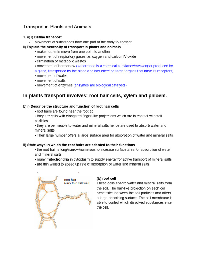 Plant and Animal Transport Systems Explained | PDF | Heart | Ventricle ...