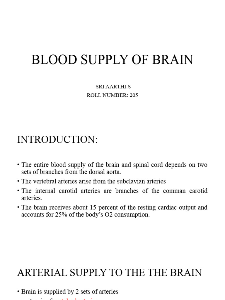 Blood Supply of the Brain Explained | PDF | Common Carotid Artery ...
