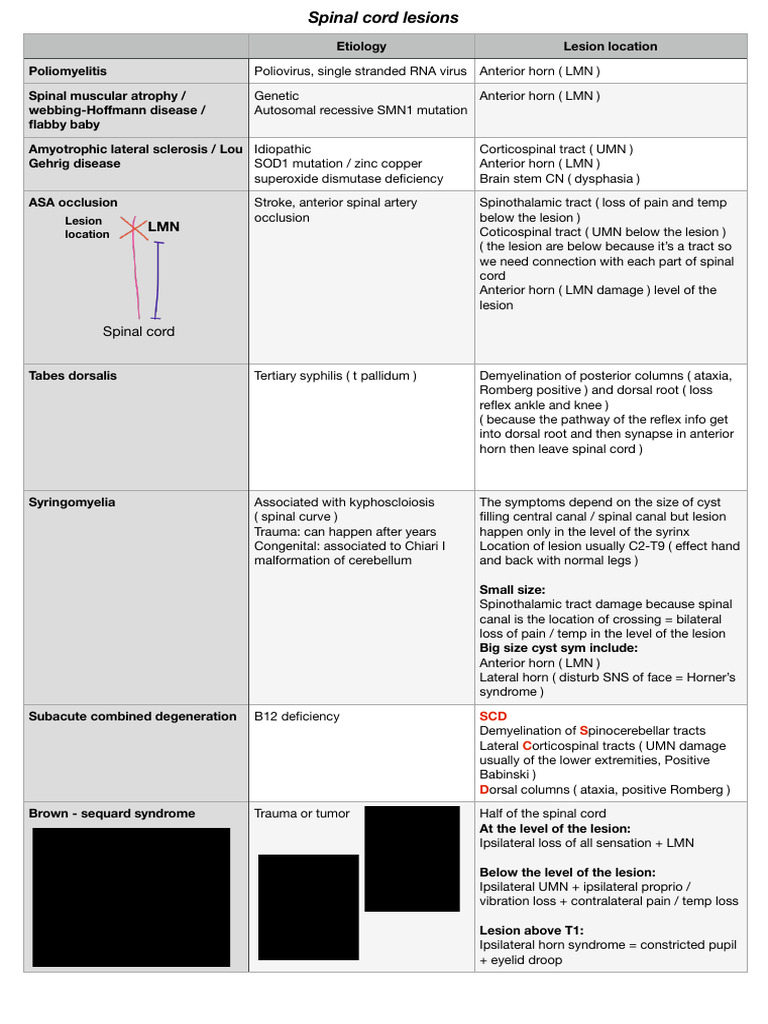 Spinal cord lesion | Download Free PDF | Spinal Cord | Central Nervous ...