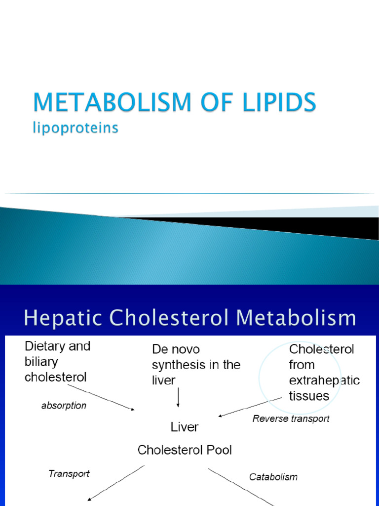Lipoprotein Metabolism | PDF | Lipoprotein | High Density Lipoprotein