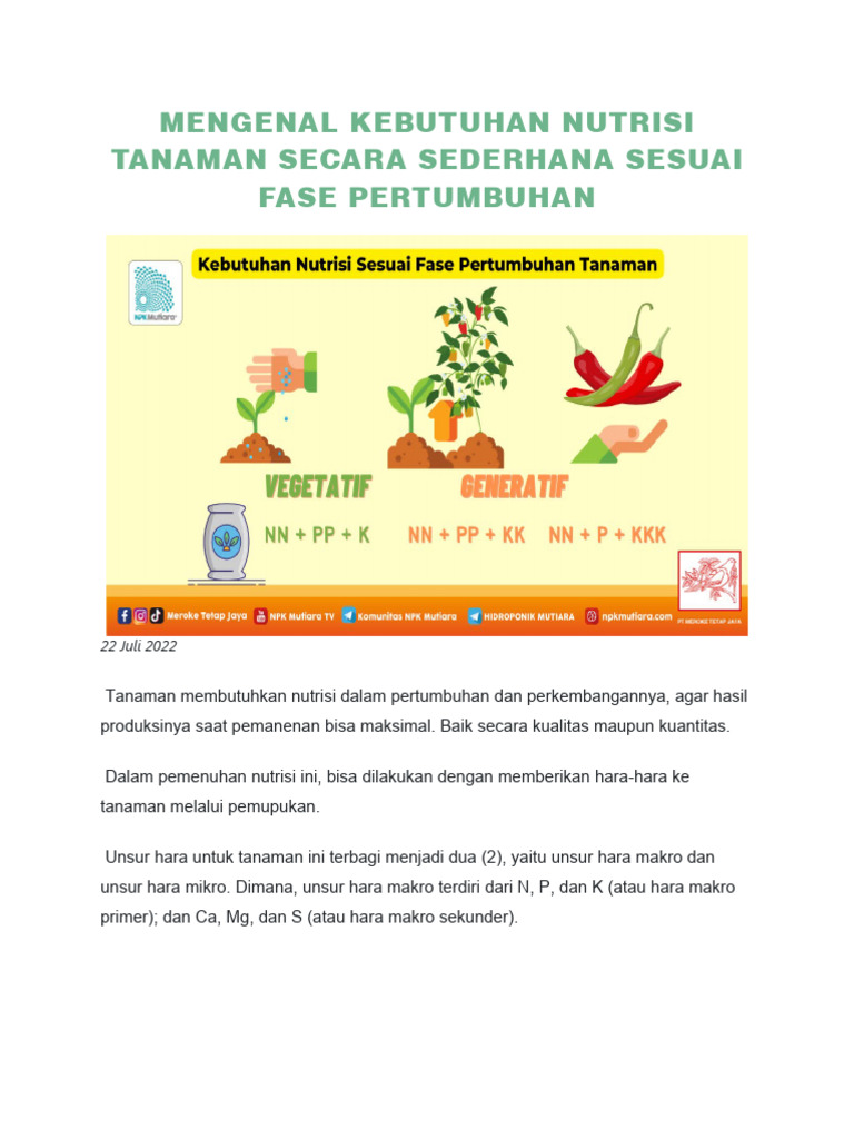 Mengenal Kebutuhan Nutrisi Tanaman Secara Sederhana Sesuai Fase