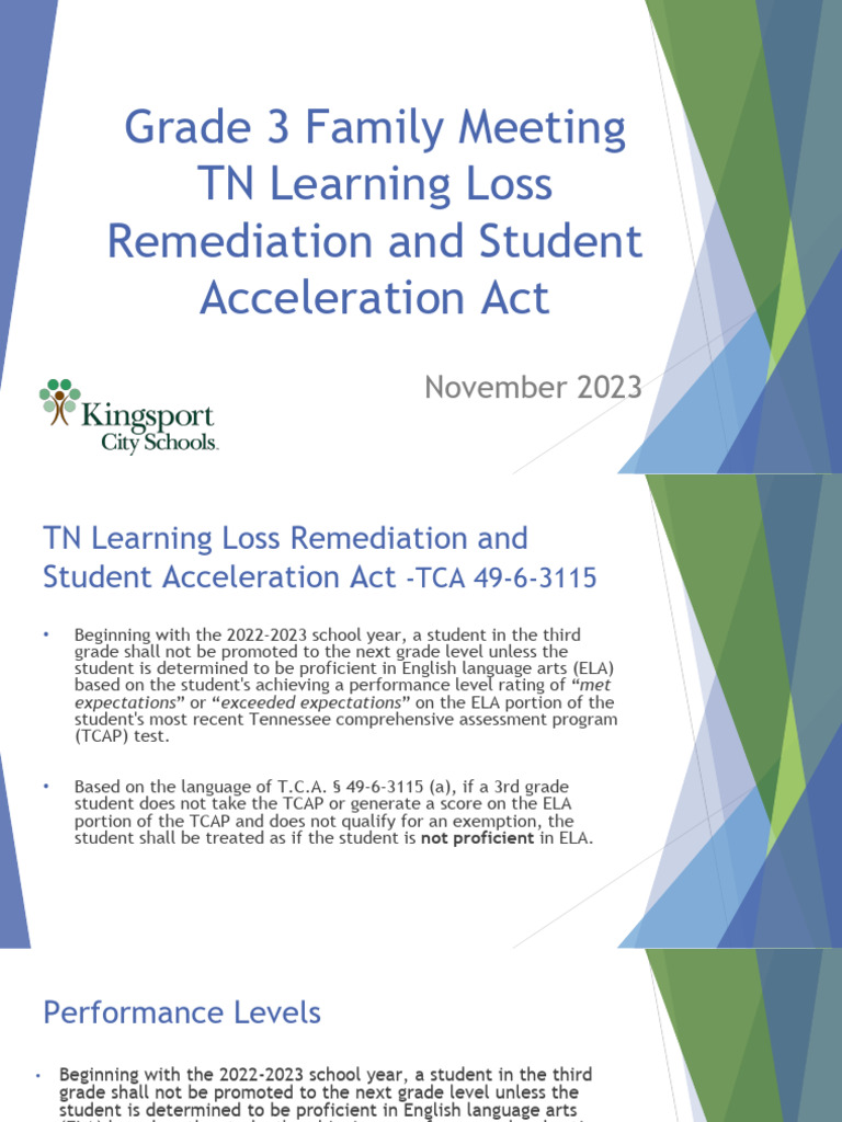 Grade 3 ELA Promotion Guidelines TN | PDF | Pedagogy | Applied Linguistics