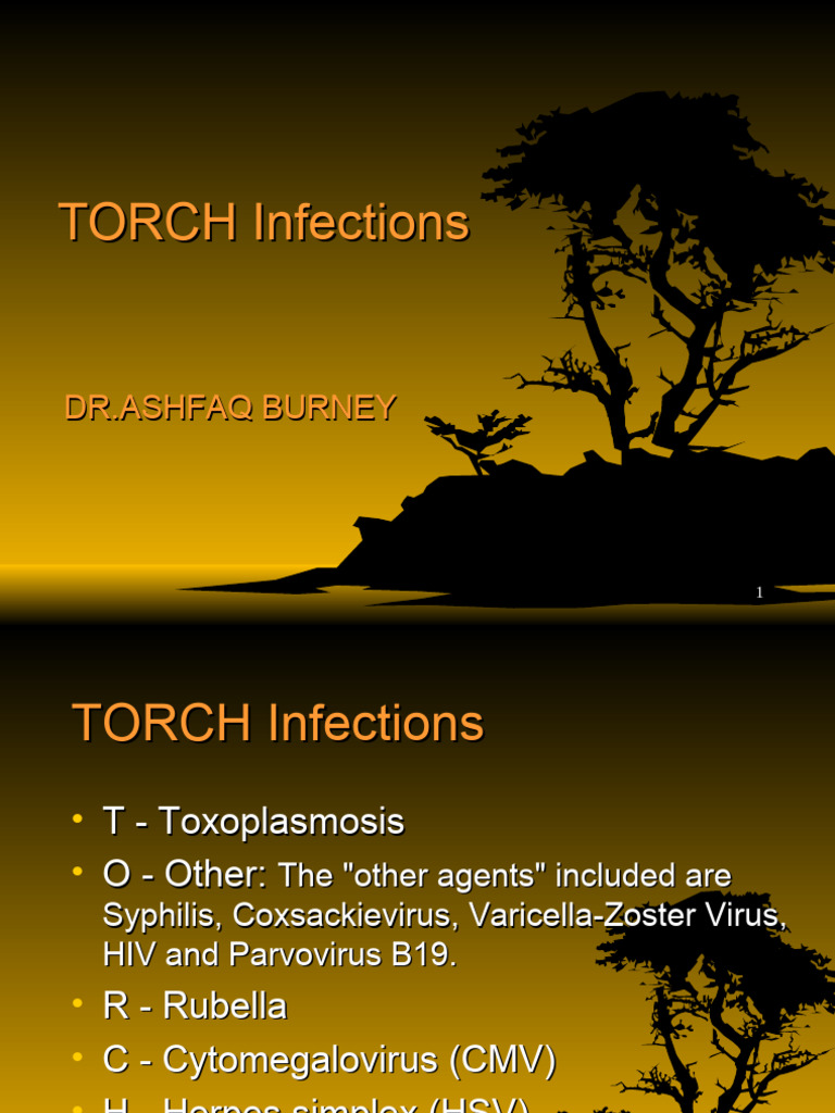 Understanding TORCH Infections in Newborns | PDF | Infection | Immunology