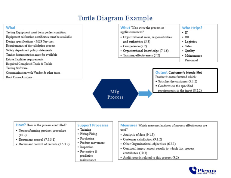 Turtle Diagram Template Download Plexus International 2022 (1) 098 2 ...